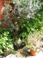 IMG_7830.webp