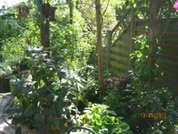 IMG_7836.webp