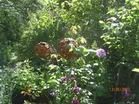 IMG_7837.JPG