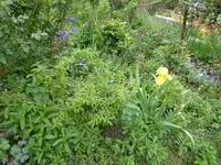 P1010558.webp