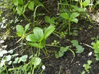 BILD6392.webp