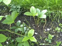 BILD6394.webp