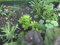 BILD6395.webp