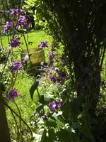BILD6413.webp