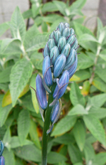P1130711.webp
