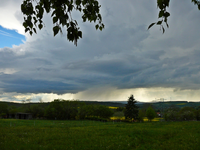 P1130696.webp