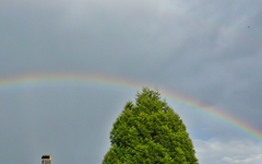 P1130718.webp