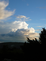 P1130720.webp