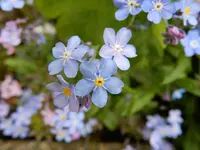 DSCN3485.webp