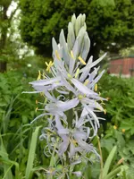CIMG3814.webp