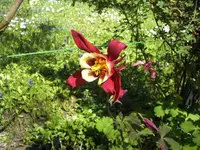 BILD6435.webp