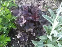 BILD6438.webp