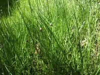 BILD6427.webp
