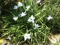 BILD6426.webp