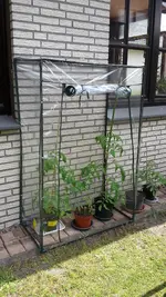 tomaten.jpg
