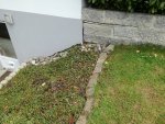 IMG_20170514_135802.jpg