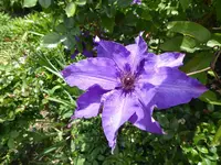 P1010824 - Kopie.webp