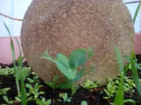 IMG_20170514_152805.webp