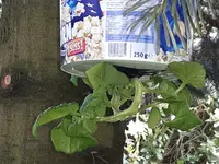 20170514_162936.jpg