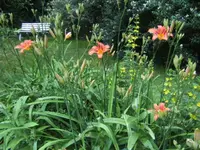 BILD2968.webp