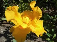DSCI1134.webp