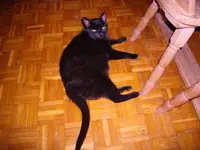 IMGP3830.webp