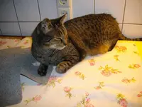 IMGP3829.webp
