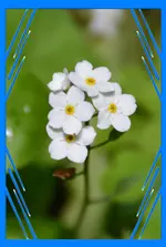 DSC_3623aa.webp