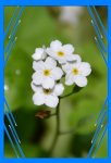 DSC_3623aa.JPG