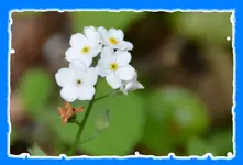 DSC_3625a.webp