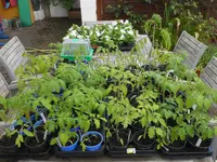 DSCN5225.jpg