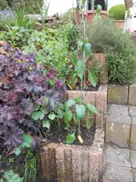 DSCN5211.webp