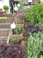 DSCN5212.jpg