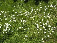 BILD6406.webp