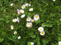 BILD6446.webp