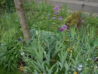 DSCN5220.webp