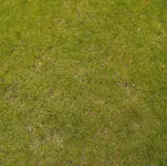 Rasen von 2012.webp