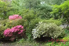 DSCF8787.webp
