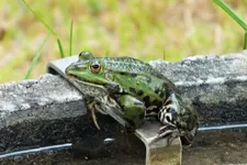 DSCF8766 (2).webp
