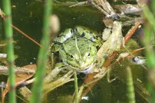 DSCF8790.webp