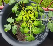 20170515_105702.webp