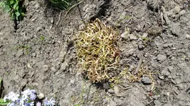 20170515_115429.webp