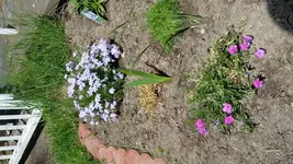 20170515_115422.webp