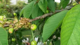 11_20170515_111757_resized.webp 11_20170515_111757_resized.webp