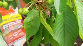 07_20170515_112224_resized.webp