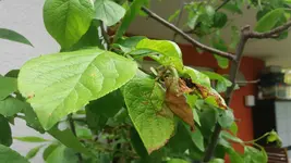 02_20170515_112434_resized.webp
