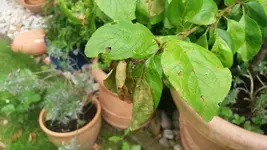 01_20170515_112447_resized_1.webp