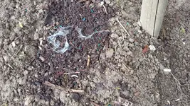 IMG-20170514-WA0001.webp