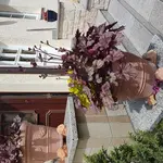 20170515_141743.webp