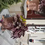 20170515_144921.webp